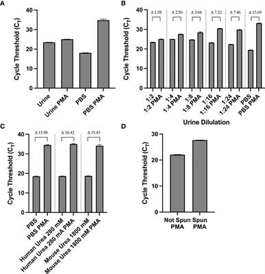 A Novel Propidium Monoazide-Based PCR Assay Can Measure Viable Uropathogenic E. coli In Vitro and In Vivo